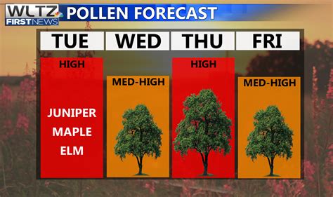 conroe pollen count